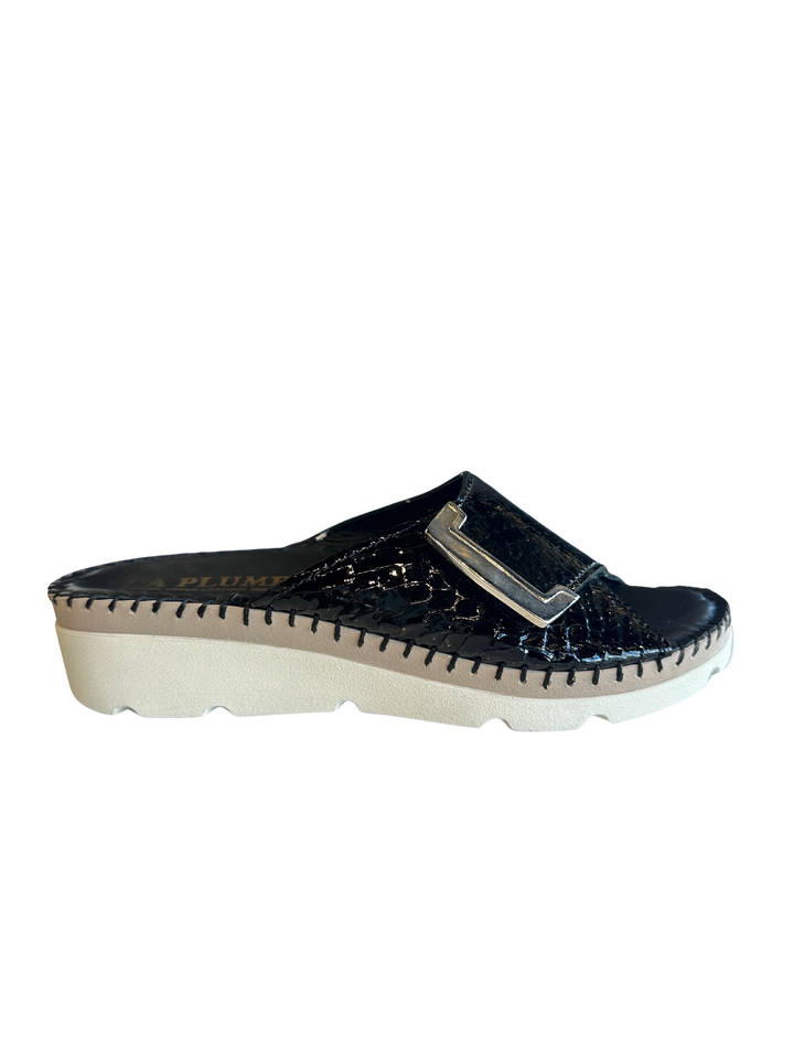 Agua - Black Croco