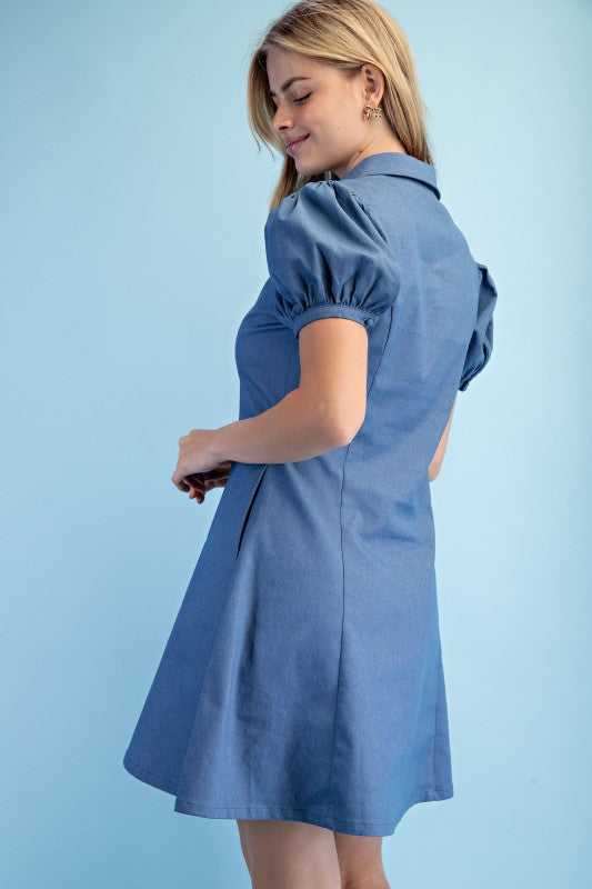 A-Line Collared Mini Dress