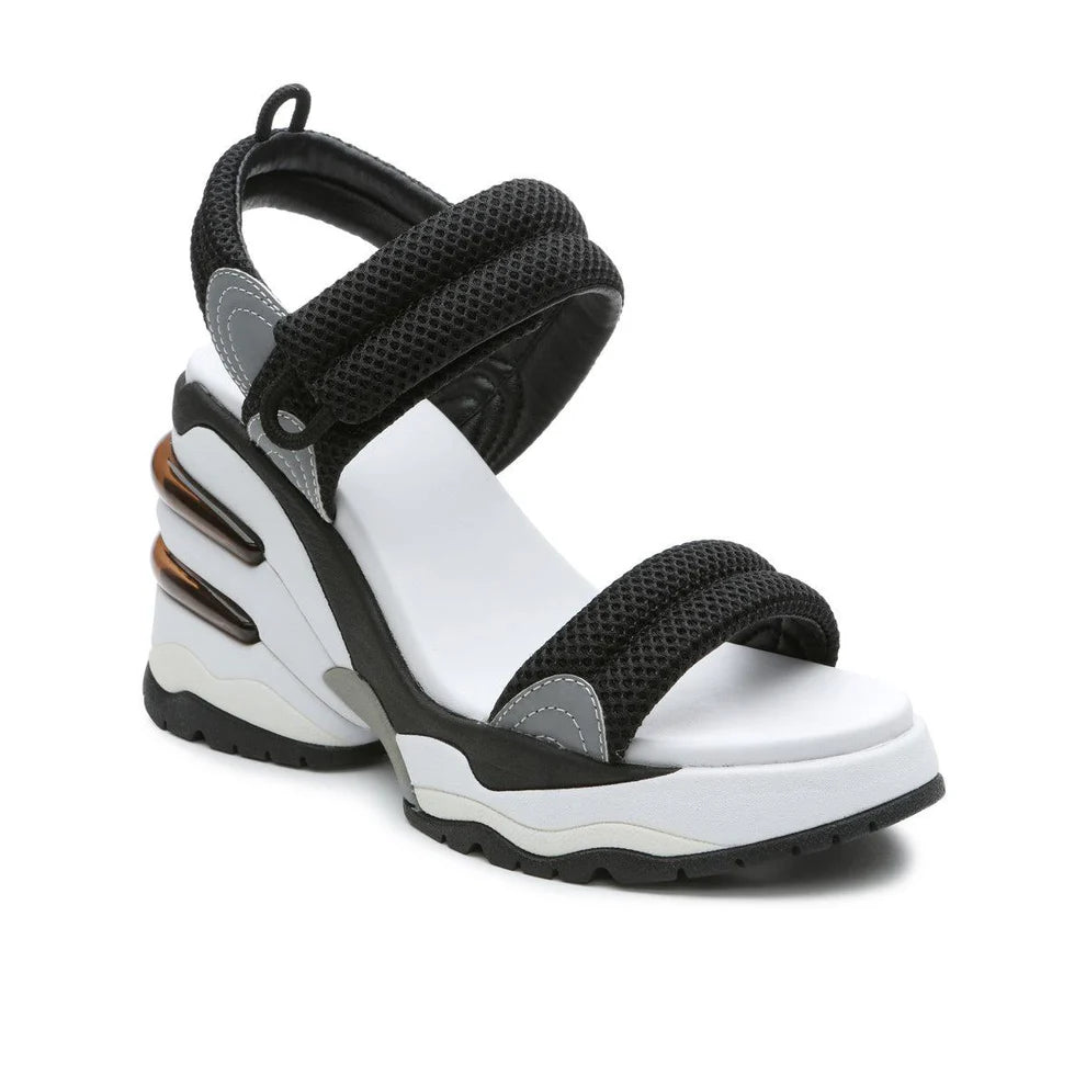 Cosmos - Black/Silver