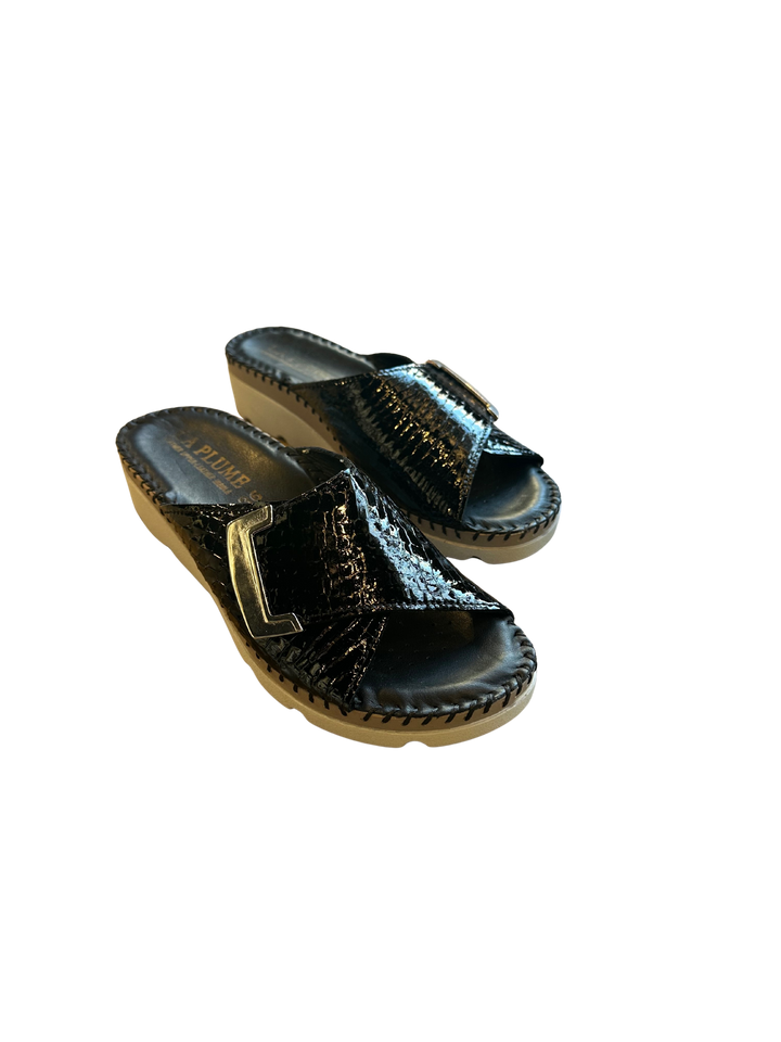 Agua - Black Croco