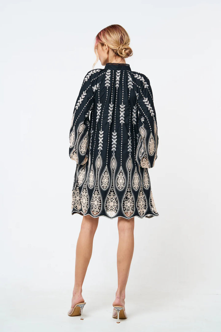 Dianna Embroidered Drip Mini Dress