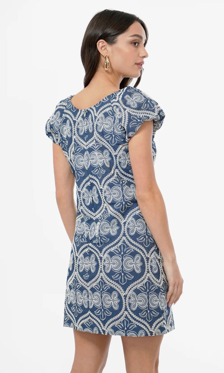 Teagan Embroidered Shift Mini Dress