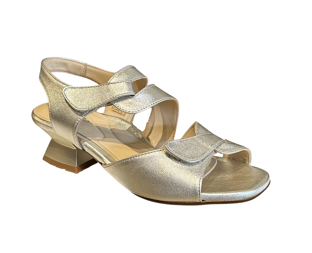 Persia Cava - Gold