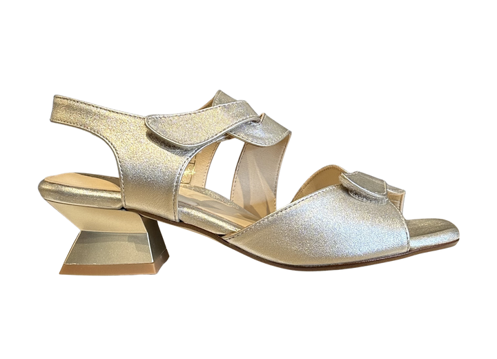 Persia Cava - Gold