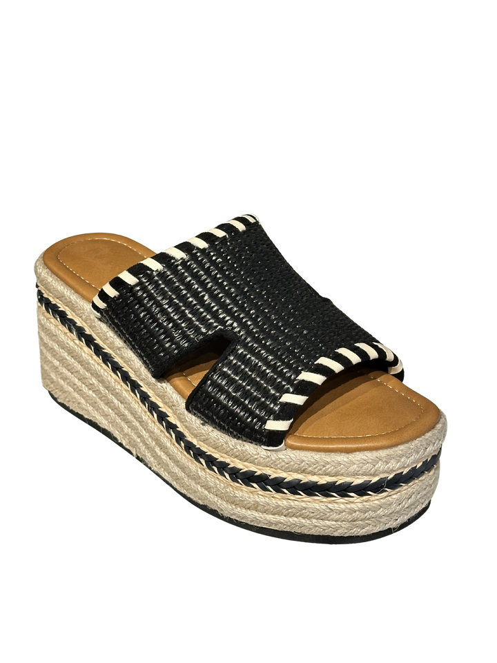 Purpurita - Black