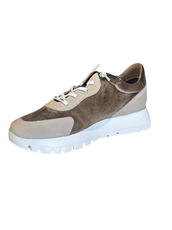 Trend Tej in Taupe